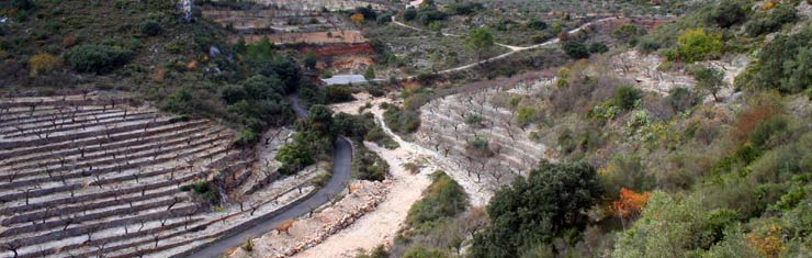 costablanca,urlaub,spanien,ferienhaus