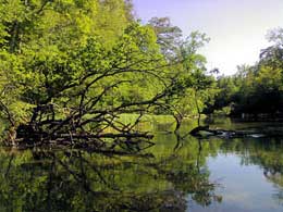 krutynia,Krutynia, Kruttinnen, Kajaktourauf dem Krutynia-Fluss