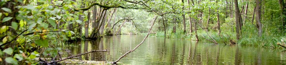 Krutynia, Kruttinnen, Kajaktourauf dem Krutynia-Fluss